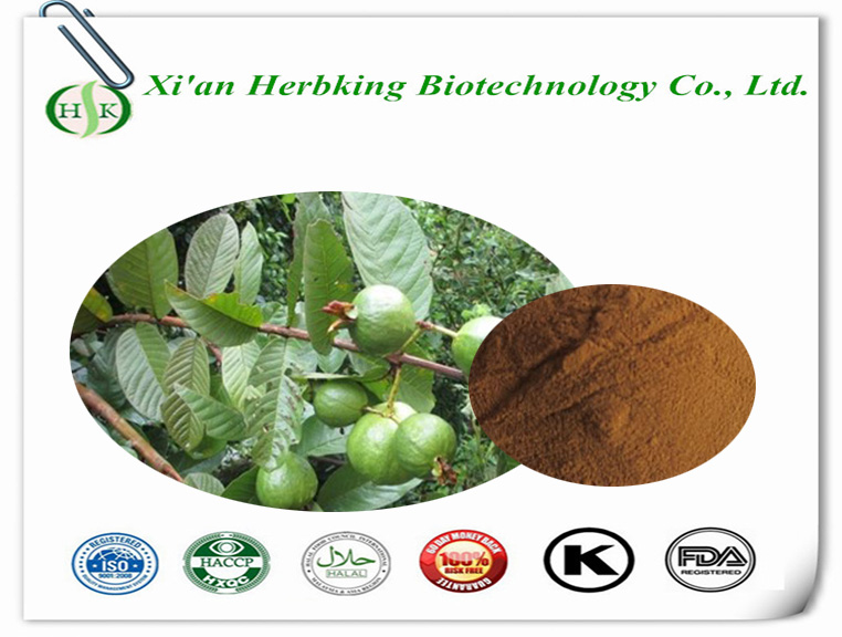 Guava leaf extract