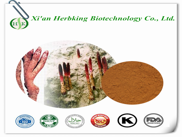 Cynomorium songaricum extract